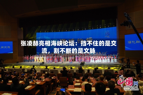 张凌赫亮相海峡论坛：挡不住的是交流，割不断的是文脉-第3张图片