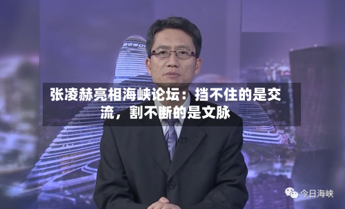张凌赫亮相海峡论坛：挡不住的是交流，割不断的是文脉-第2张图片