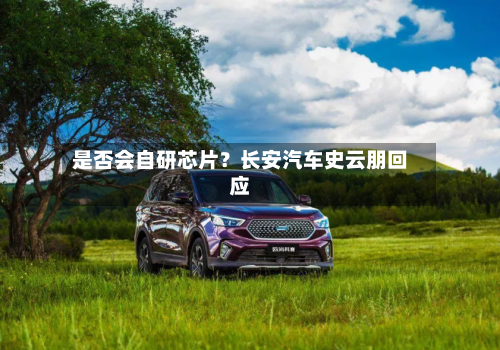 是否会自研芯片?长安汽车史云朋回应-第3张图片