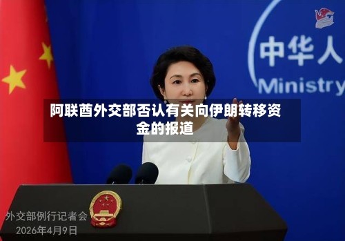 阿联酋外交部否认有关向伊朗转移资金的报道-第2张图片