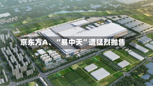 京东方A、“易中天”遭猛烈抛售