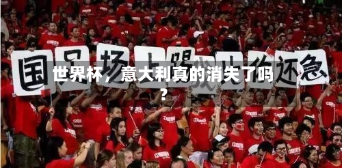 世界杯	，意大利真的消失了吗？-第2张图片