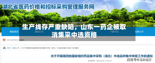 生产线存严重缺陷，山东一药企被取消集采中选资格-第3张图片