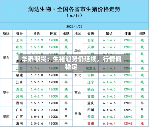 华泰期货：生猪趋势仍延续，行情偏稳定-第3张图片