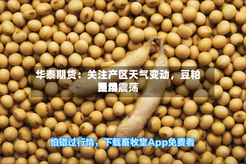 华泰期货：关注产区天气变动	，豆粕费用延续震荡-第2张图片