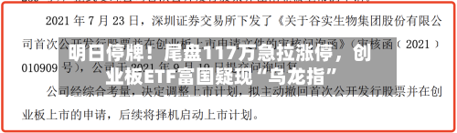 明日停牌！尾盘117万急拉涨停，创业板ETF富国疑现“乌龙指	”-第2张图片