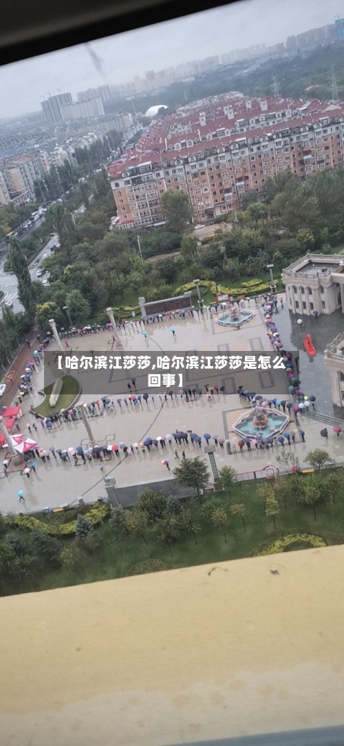 【哈尔滨江莎莎,哈尔滨江莎莎是怎么回事】-第2张图片