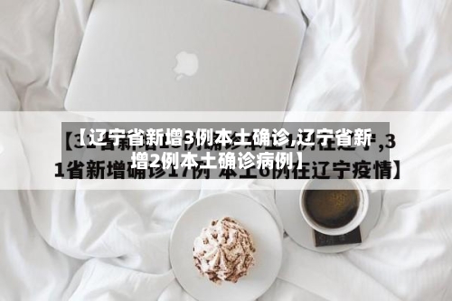 【辽宁省新增3例本土确诊,辽宁省新增2例本土确诊病例】-第2张图片